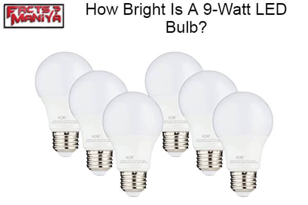 Bright Is A 9-Watt LED Bulb