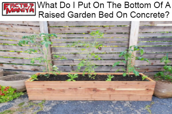 Put On The Bottom Of A Raised Garden Bed On Concrete