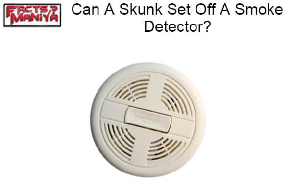 Skunk Set Off A Smoke Detector