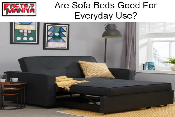 Sofa Beds Good For Everyday Use
