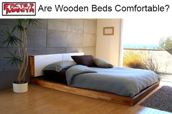 Wooden Beds Comfortable