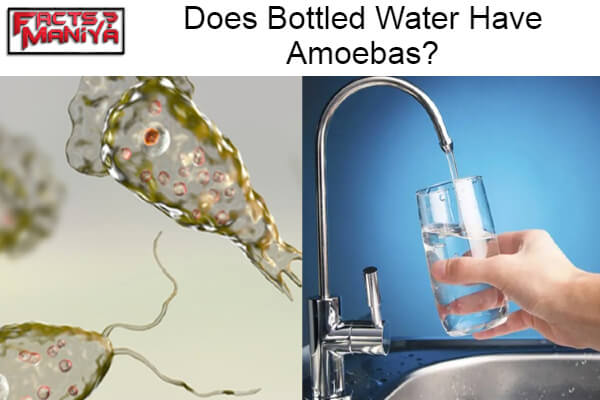 Bottled Water Have Amoebas