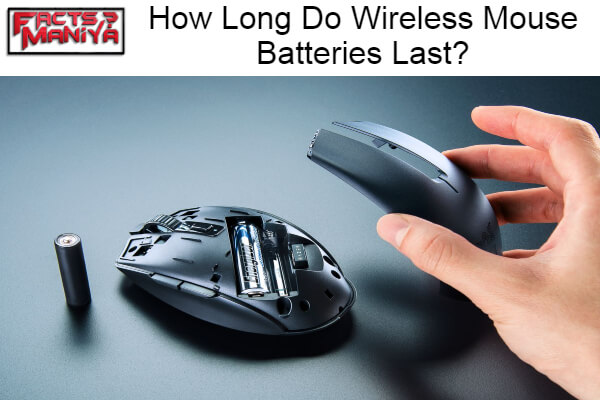 Long Do Wireless Mouse Batteries Last