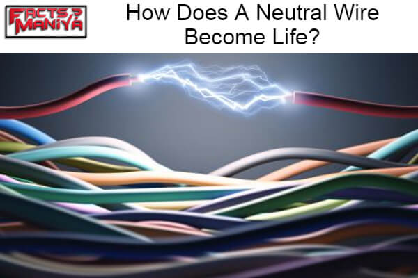 Neutral Wire Become Life