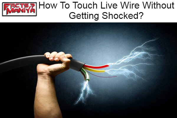 Touch Live Wire Without Getting Shocked