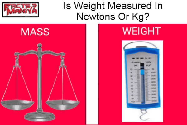 Weight Measured In Newtons Or Kg