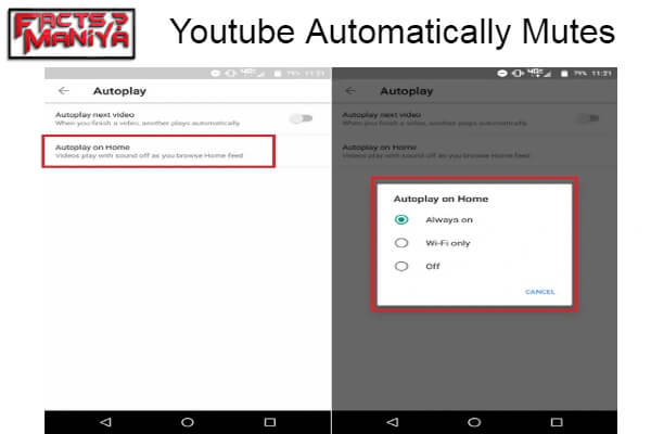 Why Youtube Automatically Mutes