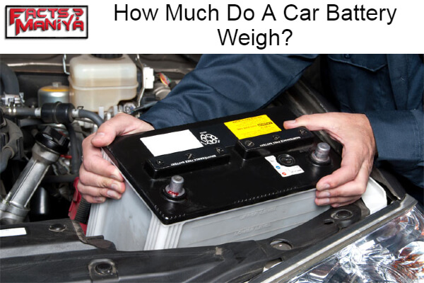 Car Battery Weigh