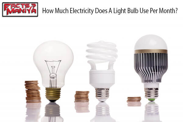 Electricity Does A Light Bulb Use Per Month