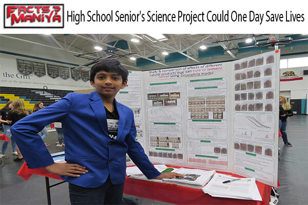 High School Senior's Science Project Could One Day Save Lives 1