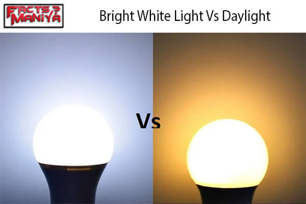 Bright White Light Vs Daylight 1