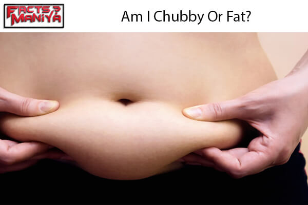 Chubby Or Fat